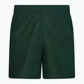 Men's Nike Essential 5" Volley swim shorts green NESSA560-303