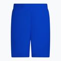 Men's Nike Essential 5" Volley swim shorts blue NESSA560-494 4