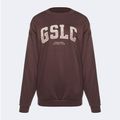 Women's training sweatshirt Gymshark Gfx Gslc Oversized brown 5