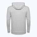 Men's training sweatshirt Ellesse Ferrer Oh Hoody grey marl 6