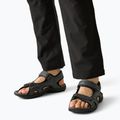 Men's sandals REGATTA Haris briar 7