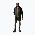 Men's softshell jacket REGATTA Arec III ash marl/black 2