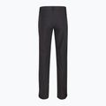 Men's softshell trousers REGATTA Geo Softshell II ash 6