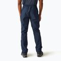 Men's trekking trousers REGATTA Highton Stretch navy 3