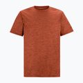 Men's trekking T-shirt REGATTA Fingal Edition rusty orange 5