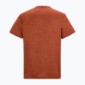 Men's trekking T-shirt REGATTA Fingal Edition rusty orange 6