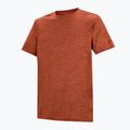 Men's trekking T-shirt REGATTA Fingal Edition rusty orange 7