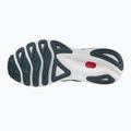 Men's running shoes Mizuno Wave Skyrise 3 nibies J1GC220981 15