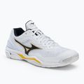 Men's handball shoes Mizuno Wave Stealth V white X1GA180013