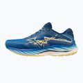 Men's running shoes Mizuno Wave Rider 27 lblue/zinnia/poseidon 10