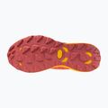 Women's running shoes Mizuno Wave Daichi 8 GTX nasturtium/citrus/cranberry 6