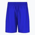 Nike Essential 4" Volley children's swim shorts blue NESSB866-447 2