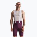 Men's cycling shorts Rapha Brevet Element Cargo Bib Shorts plum/white