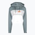 Women's training sweatshirt Ellesse Allesandro green