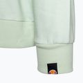 Women's training sweatshirt Ellesse Estate Oh Hoody multicolor 4