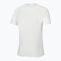 Men's t-shirt Mizuno Frontier Shadow Polo white 2