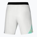 Men's shorts Mizuno Frontier 8 in Amplify white 2
