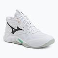 Volleyball shoes Mizuno Wave Momentum Pro Mid white/black/frozen emerald