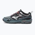 Men's shoes Mizuno Wave Daichi LS stormy weather/silver 8