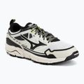 Shoes Mizuno Wave Daichi LS gf white/black/daiquiri green