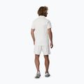 Men's T-shirt Mizuno Stargazer Shadow Polo white 3