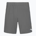 Men's shorts Mizuno 8 In Flex Short quiet shade