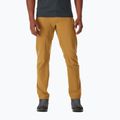 Men's trekking trousers Rab Incline Light brown QFV-05