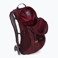 Lowe Alpine AirZone Active 18 l hiking backpack maroon FTF-19-DEH-18 4