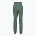 Women's trekking trousers Rab Harpur sage 2
