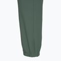 Women's trekking trousers Rab Harpur sage 4