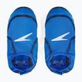 Children's pool socks Speedo Infant Pool Sock cobalt/true navy