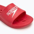 Men's Speedo Slide flip-flops fed red 7