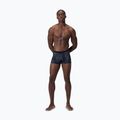 Men's swim boxers Speedo Valmilton monument 6