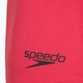 Ladies' one-piece swimsuit Speedo Flex Band with Swim Bra raspbery fill/vermilion/punch 9