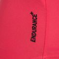 Ladies' one-piece swimsuit Speedo Flex Band with Swim Bra raspbery fill/vermilion/punch 10