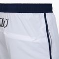Men's Speedo Jetstream Retro Logo Volley 16" white swim shorts 4