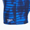 Men's swim boxers Speedo Valmilton cerulean blue 3