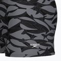 Men's swim boxer trunks Speedo Print Beachstar Square Leg Anthracite/Coin Grey 8