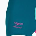 Women's one-piece swimsuit Speedo Solid Tri peacock 3