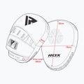 RDX Focus Pad T1 white/black training discs 7