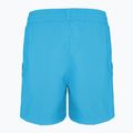 Men's Nike Logo Tape 4'' Volley shorts blue NESSD794-480 2