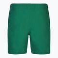 Men's Nike Essential 7" Volley bicoastal swim shorts 2