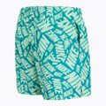 Men's Nike Tossed 5" Volley swim shorts vapor green 3