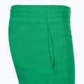Nike Essential 4" Volley stadium green children's swim shorts 4