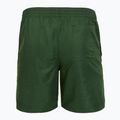 Men's Nike Swim Breaker 7" Volley fir swim shorts 2