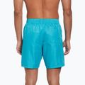 Men's Nike Swim Breaker 7" Volley dusty cactus swim shorts 3
