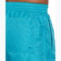 Men's Nike Swim Breaker 7" Volley dusty cactus swim shorts 6