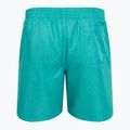 Men's Nike Swim Breaker 7" Volley dusty cactus swim shorts 2