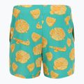 Men's Nike Multi Print 5" Volley swim shorts dusty cactus 2