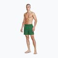 Men's swim shorts Nike Essential 5" Volley malachite 2